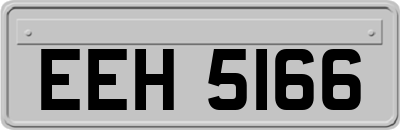 EEH5166