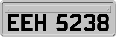 EEH5238