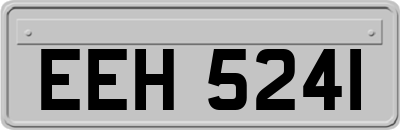 EEH5241