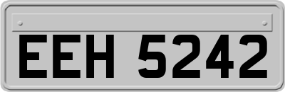 EEH5242