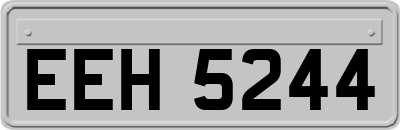 EEH5244