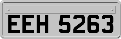 EEH5263