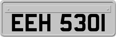 EEH5301