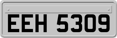 EEH5309