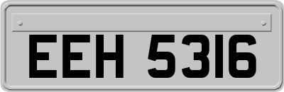 EEH5316