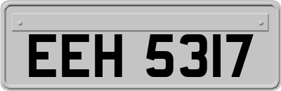 EEH5317