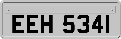 EEH5341
