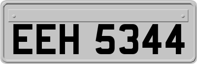 EEH5344