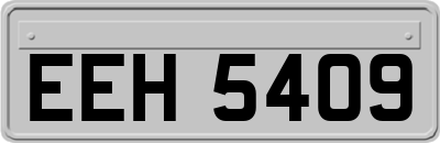 EEH5409