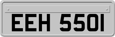 EEH5501