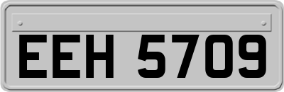 EEH5709