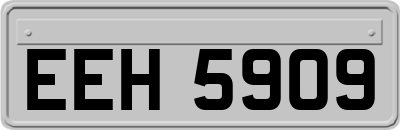 EEH5909