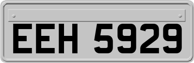 EEH5929
