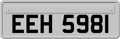EEH5981