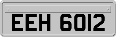 EEH6012