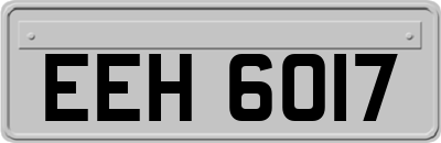 EEH6017