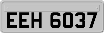EEH6037
