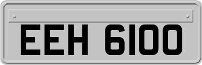 EEH6100