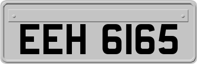 EEH6165