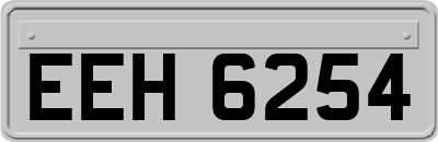 EEH6254