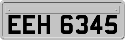 EEH6345