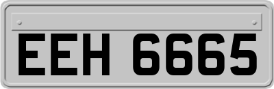 EEH6665