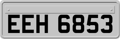 EEH6853