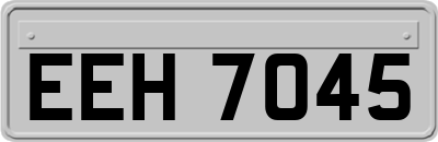EEH7045