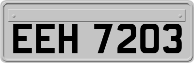 EEH7203