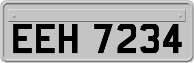 EEH7234