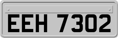 EEH7302