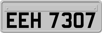 EEH7307
