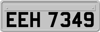 EEH7349