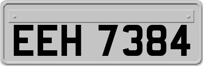 EEH7384