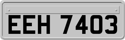 EEH7403