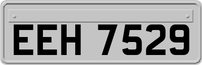 EEH7529