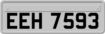 EEH7593