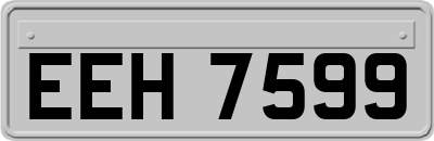 EEH7599