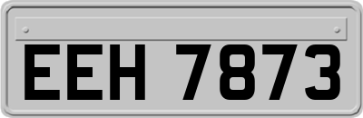 EEH7873