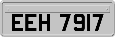 EEH7917