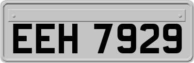 EEH7929