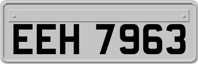 EEH7963