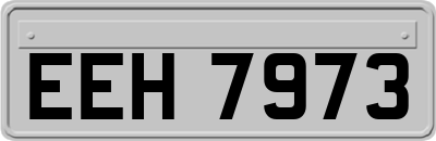 EEH7973