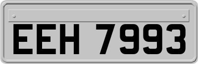 EEH7993