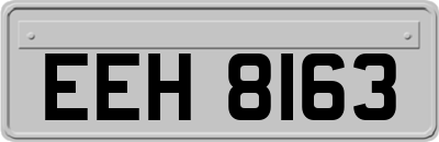EEH8163