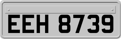 EEH8739