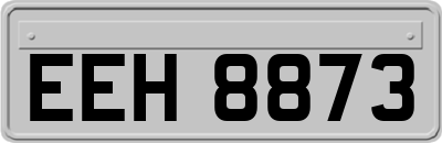 EEH8873