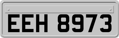 EEH8973