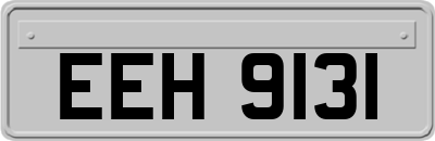 EEH9131
