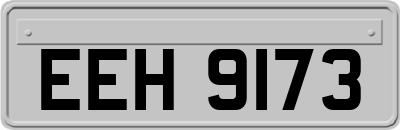 EEH9173